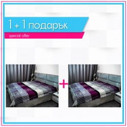 Шалте Алфа 1+1 