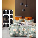 Два броя двойно Спално бельо Карина сатен + Рената сатен
