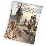 Одеяло Harry Potter Hogwarts 130/160