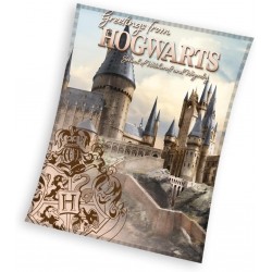 Одеяло Harry Potter Hogwarts 130/160