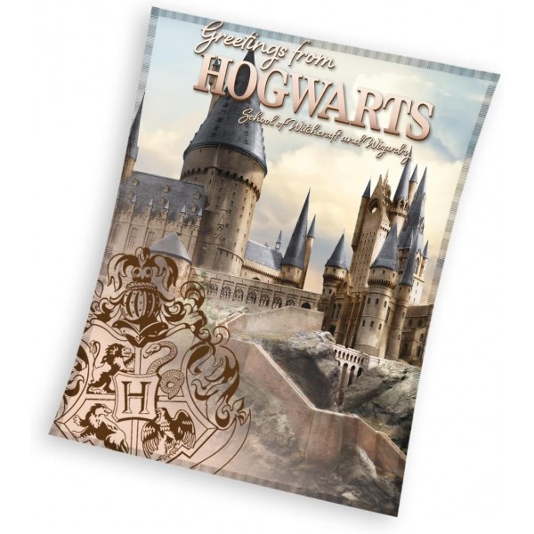 Одеяло Harry Potter Hogwarts 130/160